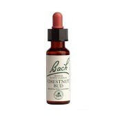 Power Health Ανθοΐαμα Bach Chestnut Bud20 ml - Ανθοϊάματα Μπαχ στο Dvcare
