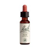 Power Health Ανθοΐαμα Bach Elm 20 ml - Ανθοϊάματα Μπαχ στο Dvcare