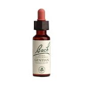 Power Health Ανθοΐαμα Bach Gentian 20 ml - Ανθοϊάματα Μπαχ στο Dvcare