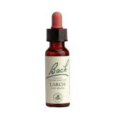 Power Health Ανθοΐαμα Bach Larch 20 ml - Ανθοϊάματα Μπαχ στο Dvcare