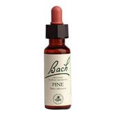 Power Health Ανθοΐαμα Bach Red Chestnut 20ml - Ανθοϊάματα Μπαχ στο Dvcare