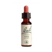 Power Health Ανθοΐαμα Bach Vervain 20ml - Ανθοϊάματα Μπαχ στο Dvcare