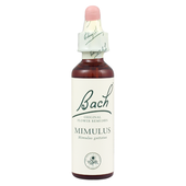 Power Health Ανθοΐαμα Bach Mimulus 20ml - Ανθοϊάματα Μπαχ στο Dvcare