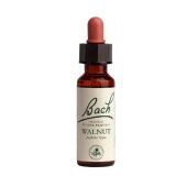Power Health Ανθοΐαμα Bach Walnut 20ml - Ανθοϊάματα Μπαχ στο Dvcare