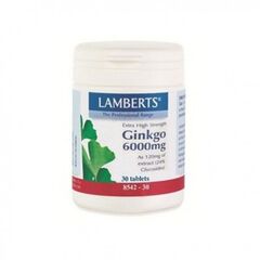 Lamberts Her Ginkgo Biloba 6000Mg 30Tabs - Συμπληρώματα Διατροφής στο Dvcare