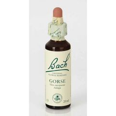 Power Health Ανθοΐαμα Bach Gorse 20ml - Ανθοϊάματα Μπαχ στο Dvcare