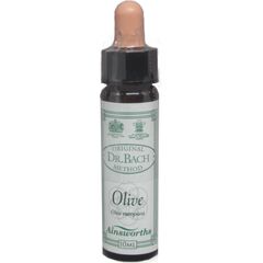 Ainsworths Ανθοΐαμα Bach Olive για Πνευματική - Σωματική & Ψυχική Ισορροπία 10ml - Ανθοϊάματα Μπαχ στο Dvcare