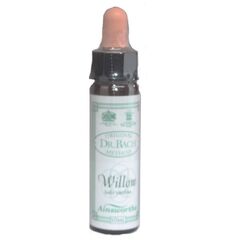 Ainsworths Ανθοΐαμα Bach Willow 10ml - Ανθοϊάματα Μπαχ στο Dvcare
