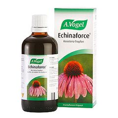 A. Vogel Echinaforce Βάμμα απο Φρέσκια Εχινάκεια 50ml - Πρόληψη στο Dvcare