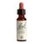 Power Health Ανθοΐαμα Bach Heather 20 ml - Ανθοϊάματα Μπαχ στο Dvcare