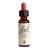 Power Health Ανθοΐαμα Bach Red Chestnut 20ml - Ανθοϊάματα Μπαχ στο Dvcare