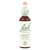 Power Health Ανθοΐαμα Bach Cherry plum 20 ml - Ανθοϊάματα Μπαχ στο Dvcare