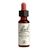 Power Health Ανθοΐαμα Bach Wild Rose 20ml - Ανθοϊάματα Μπαχ στο Dvcare