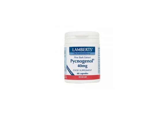 Lamberts Pycnogenol 40Mg 60Caps - Συμπληρώματα Διατροφής στο Dvcare
