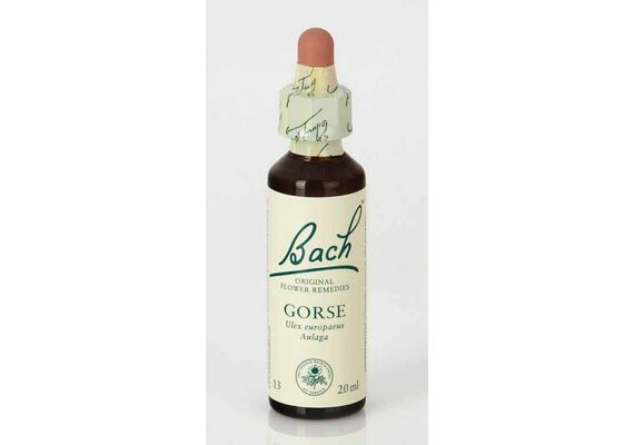Power Health Ανθοΐαμα Bach Gorse 20ml - Ανθοϊάματα Μπαχ στο Dvcare
