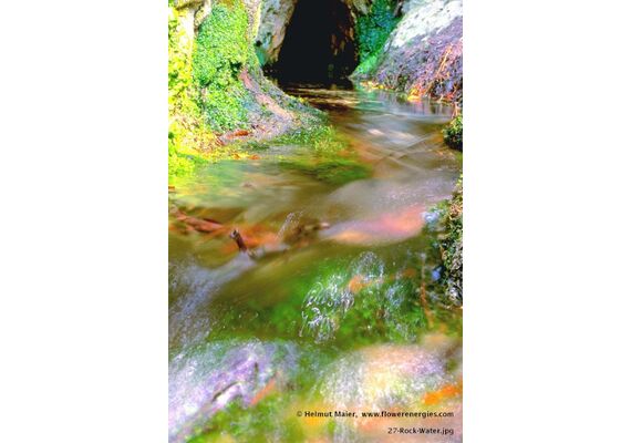 Ainsworths Ανθοΐαμα Bach Rock Water 10ml - Ανθοϊάματα Μπαχ στο Dvcare