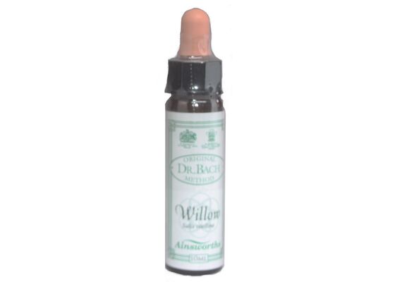 Ainsworths Ανθοΐαμα Bach Willow 10ml - Ανθοϊάματα Μπαχ στο Dvcare