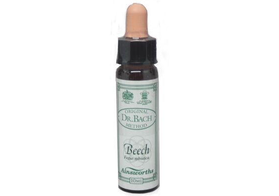Ainsworths Ανθοΐαμα Bach Beech 10ml - Ανθοϊάματα Μπαχ στο Dvcare