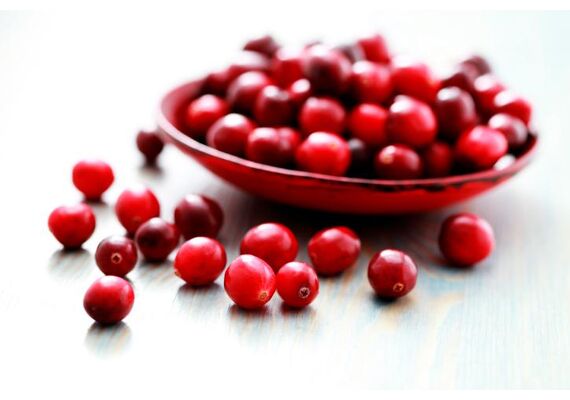 Lamberts Cramberry Complex 100 gr - Ουροποιητικό Σύστημα στο Dvcare