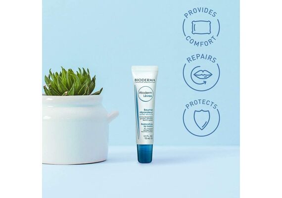 Bioderma Atoderm Baume Lèvres Εντατική φροντίδα θρέψης και αναδόμησης για τα χείλη. 15ML - Πρόσωπο στο Dvcare