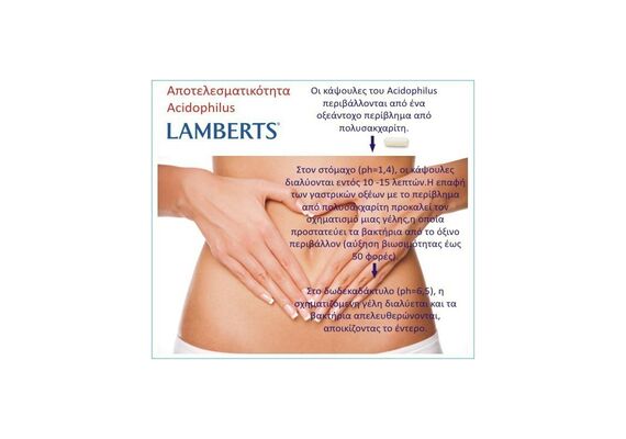 Lamberts Acidophilus Extra 4 30 Caps - Προβιοτικά  στο Dvcare