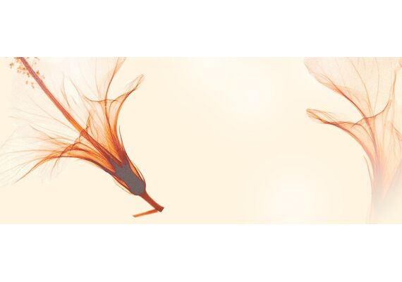 Ahava Mineral Botanic Velvet Body Lotion Hibiscus & Fig 500ml - Σώμα στο Dvcare