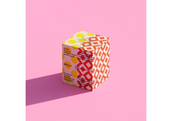 SYMBEEOSIS GREEK HONEY & PROPOLIS 280GR - Ενίσχυση Ανοσοποιητικού στο Dvcare