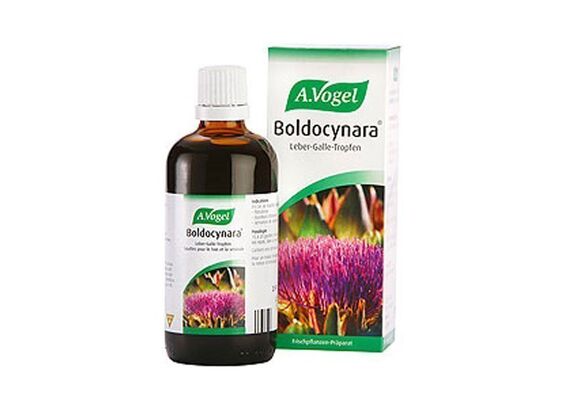 A.Vogel Boldocynara Βάμμα Αγκινάρας για Αποτοξίνωση 50ml - Χοληστερίνη στο Dvcare