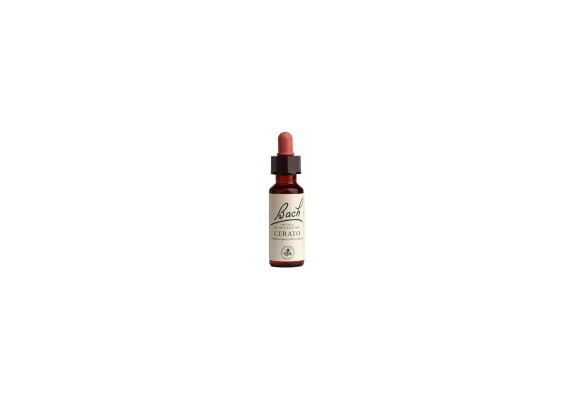 Power Health Ανθοΐαμα Bach Cerato 20 ml - Ανθοϊάματα Μπαχ στο Dvcare