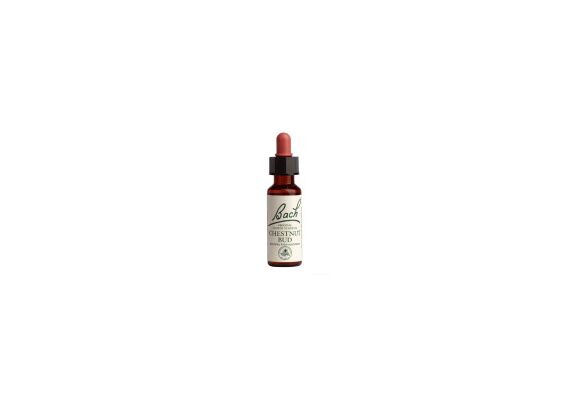 Power Health Ανθοΐαμα Bach Chestnut Bud20 ml - Ανθοϊάματα Μπαχ στο Dvcare