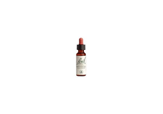 Power Health Ανθοΐαμα Bach Honeysuckle 20 ml - Ανθοϊάματα Μπαχ στο Dvcare