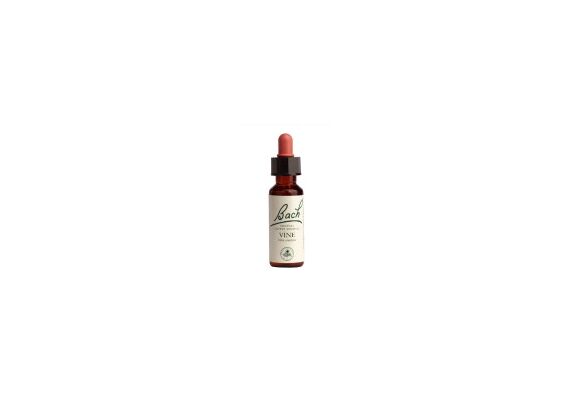 Power Health Ανθοΐαμα Bach Vervain 20ml - Ανθοϊάματα Μπαχ στο Dvcare