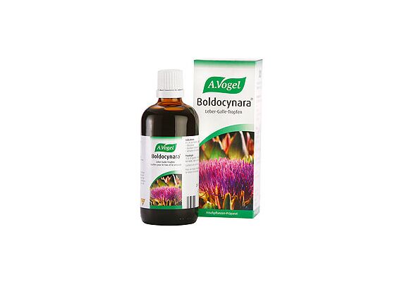 A. Vogel  Boldocynara Αποτοξινωτικό Φυτικό Βάμμα 50ml - Δυσπεψία & Μετεωρισμός στο Dvcare