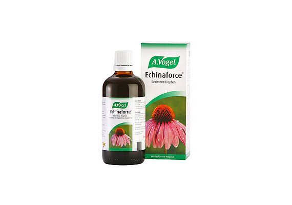 A. Vogel Echinaforce Βάμμα απο Φρέσκια Εχινάκεια 50ml - Πρόληψη στο Dvcare
