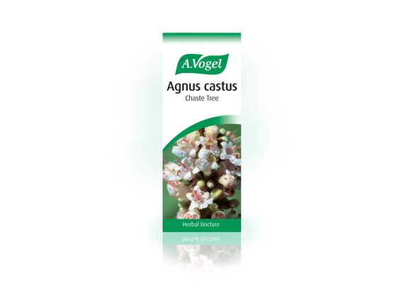A. Vogel Agnus castus Βάμμα Βιολογικής Λυγαριάς για την Εμμηνόπαυση 50ml - Ορμονική Ισορροπία στο Dvcare