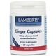 Lamberts Her Ginger 120Mg 60C - Συμπληρώματα Διατροφής στο Dvcare