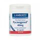 Lamberts Pycnogenol 40Mg 60Caps - Συμπληρώματα Διατροφής στο Dvcare