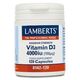 Lamberts Vitamin D 4000Iu 120Caps - Βιταμίνη D στο Dvcare