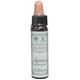 Ainsworths Ανθοΐαμα Bach Agrimony για Ευθυμία & Ηρεμία 10ml - Ανθοϊάματα Μπαχ στο Dvcare