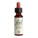 Power Health Ανθοΐαμα Bach Beech 20 ml - Ανθοϊάματα Μπαχ στο Dvcare