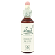 Power Health Ανθοΐαμα Bach Cherry plum 20 ml - Ανθοϊάματα Μπαχ στο Dvcare