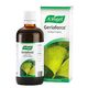 A. Vogel Ginkoforce (Geriaforce )Βάμμα από Φρέσκα Φύλλα Ginkgo Biloba 50ml - Μνήμη & Συγκέντρωση στο Dvcare