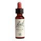 Power Health Ανθοΐαμα Bach Willow 20ml - Ανθοϊάματα Μπαχ στο Dvcare